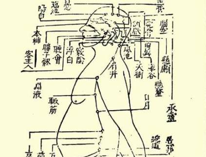 本草纲目·第二卷·序列·饮食禁忌原文是什么内容？历史图片