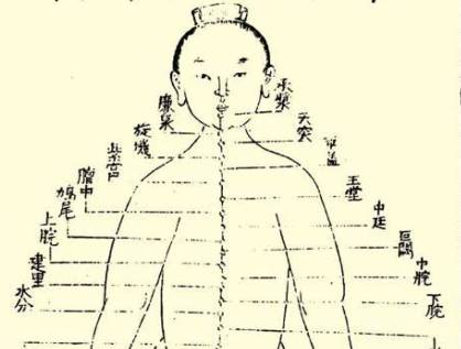 本草纲目·第二卷·序列·张子和吐、汗、下三法原文是什么内容？历史图片