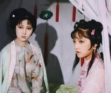 紫鹃历史图片