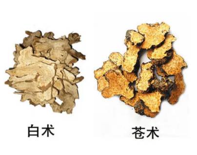本草纲目·第三卷·百病主治·泄泻具体内容是什么？历史图片