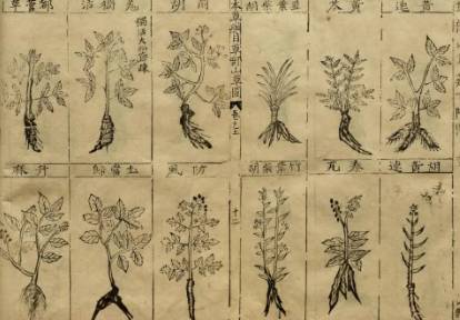 本草纲目·第三卷·百病主治·胀满具体内容是什么？历史图片