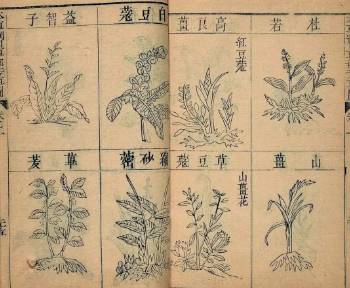 本草纲目·第三卷·百病主治·胀满具体内容是什么？历史图片