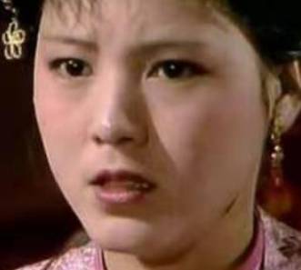 袭人历史图片