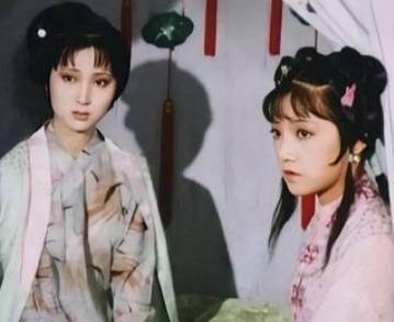 紫鹃历史图片