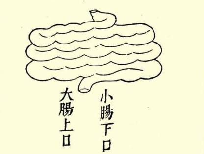 本草纲目历史图片
