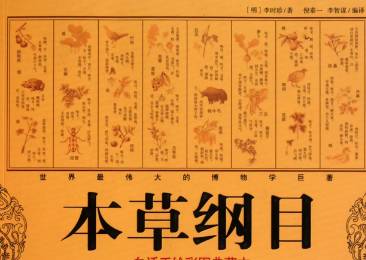 本草纲目·第三卷·百病主治·腰痛具体内容是什么？历史图片
