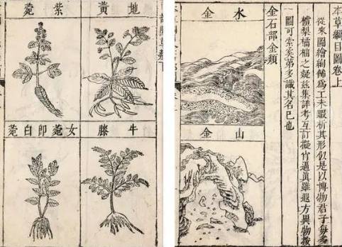 本草纲目·第三卷·百病主治·腰痛具体内容是什么？历史图片