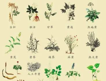 本草纲目·第三卷·百病主治·头痛具体内容是什么？历史图片