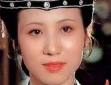 王夫人历史图片