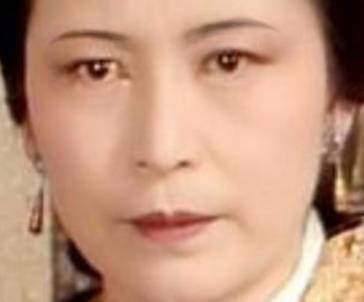 王夫人历史图片