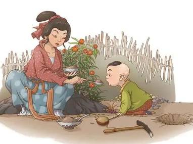 镜花缘历史图片
