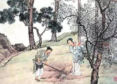 镜花缘历史图片