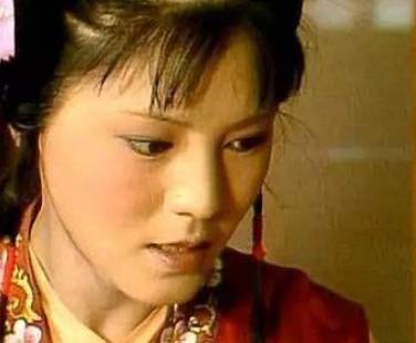 袭人历史图片
