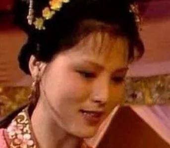 袭人历史图片