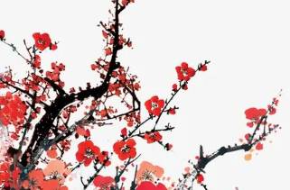 《清平乐·年年雪里》原文译文以及鉴赏历史图片