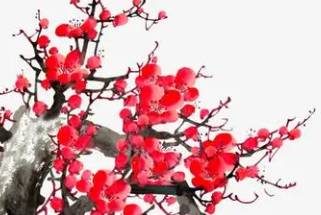 《清平乐·年年雪里》原文译文以及鉴赏历史图片