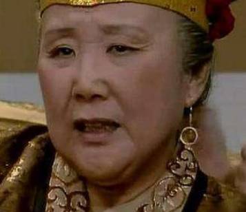 贾府历史图片