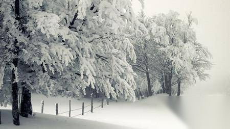 下雪历史图片