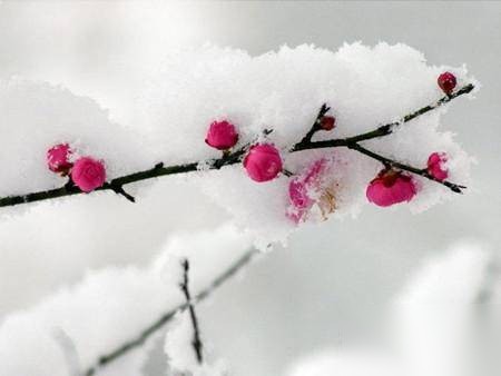下雪历史图片