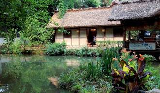 杜甫历史图片