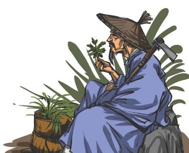 本草纲目历史图片