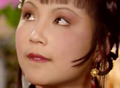 袭人历史图片