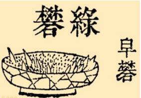 本草纲目·第七卷·金石部·绿矾原文是什么内容?历史图片
