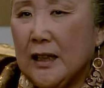 袭人历史图片