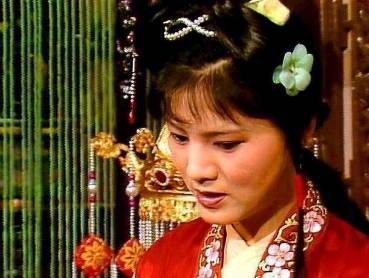 袭人历史图片