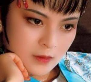 王夫人历史图片