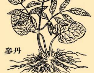 本草纲目历史图片