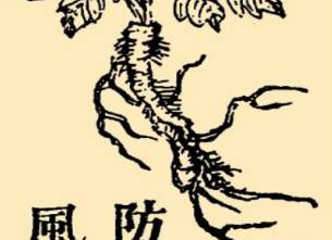 本草纲目历史图片