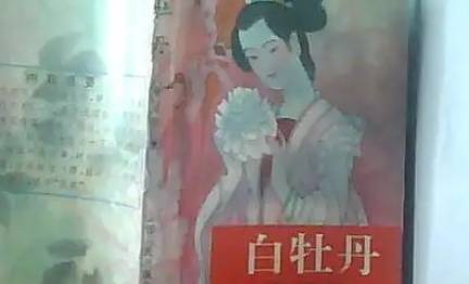 《白牡丹》历史图片
