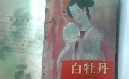 《白牡丹》历史图片