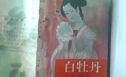 《白牡丹》历史图片