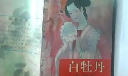 《白牡丹》历史图片