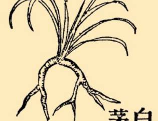 本草纲目历史图片