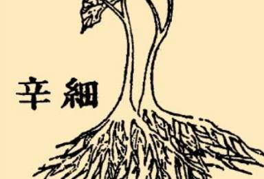 本草纲目历史图片