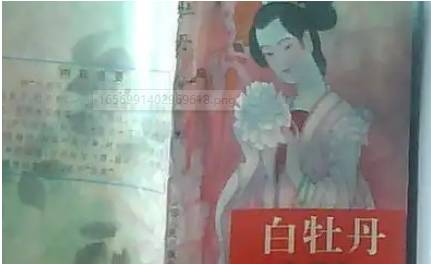 《白牡丹》历史图片