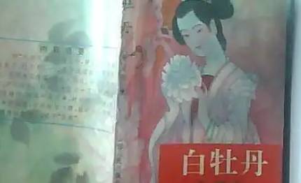 《白牡丹》历史图片