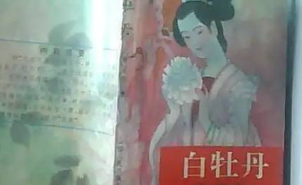 《白牡丹》历史图片