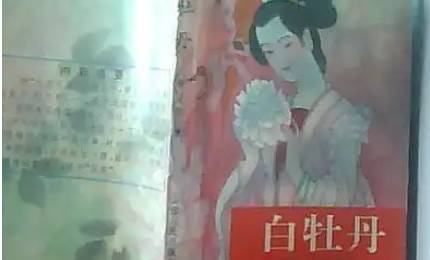 《白牡丹》历史图片