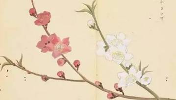 诗经历史图片