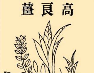 本草纲目历史图片