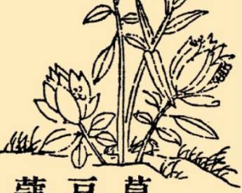 本草纲目历史图片