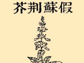 本草纲目历史图片