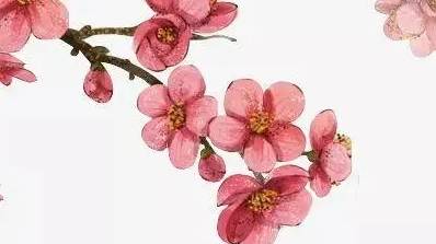 萋萋芳草忆王孙,柳外楼高空断魂历史图片