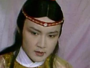 袭人历史图片