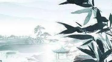 杜甫历史图片