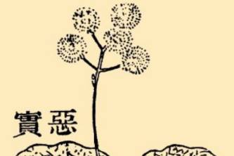 本草纲目历史图片